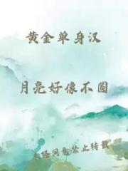 黄金单身汉